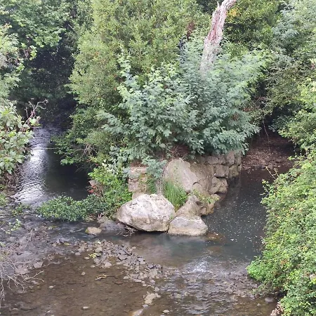 Senorio De Bizkaia Bakio