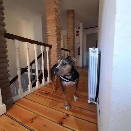 Hotel Senorio De Bizkaia *