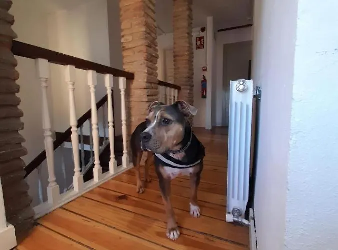 Hotel Senorio De Bizkaia *