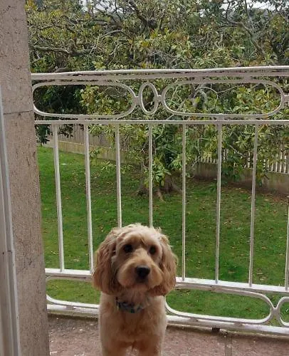 Hotel Senorio De Bizkaia Bakio