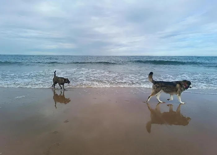 Senorio De Bizkaia Hotel
