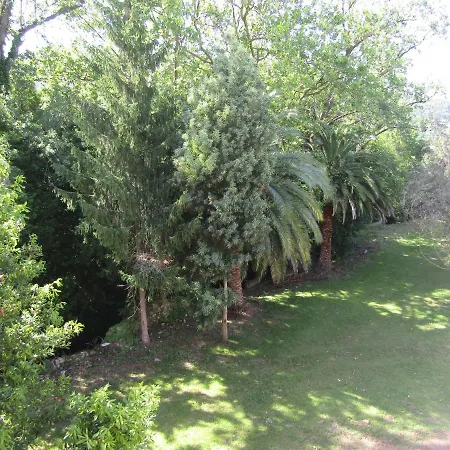 Senorio De Bizkaia 바키오