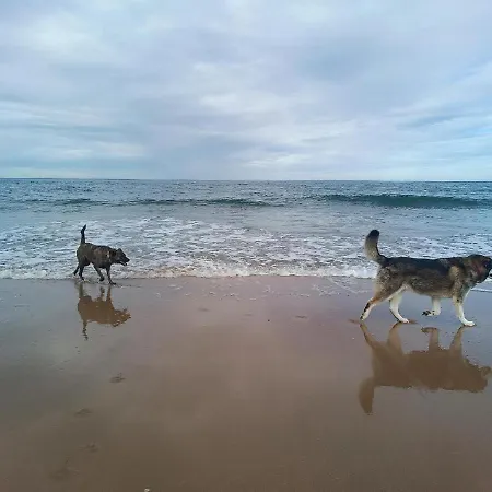 Senorio De Bizkaia Hotel